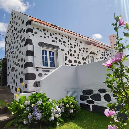 Vivenda Flores - Casa Hortensia Lomba  Exteriör bild